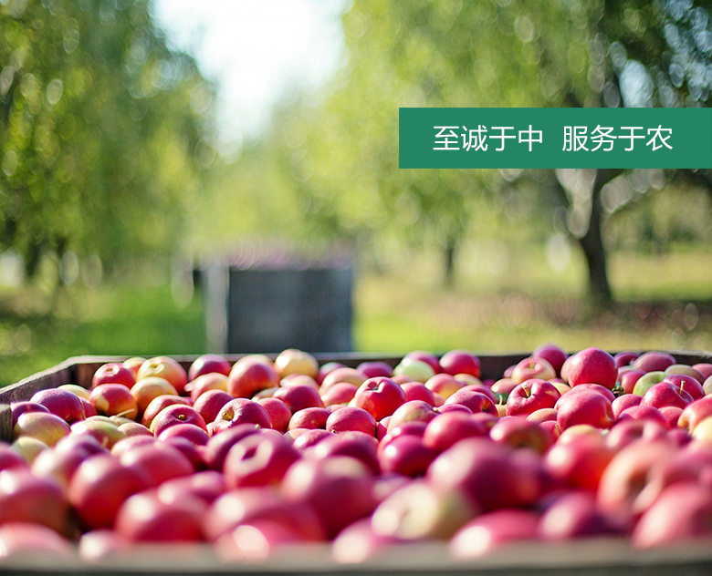 經(jīng)營(yíng)理念