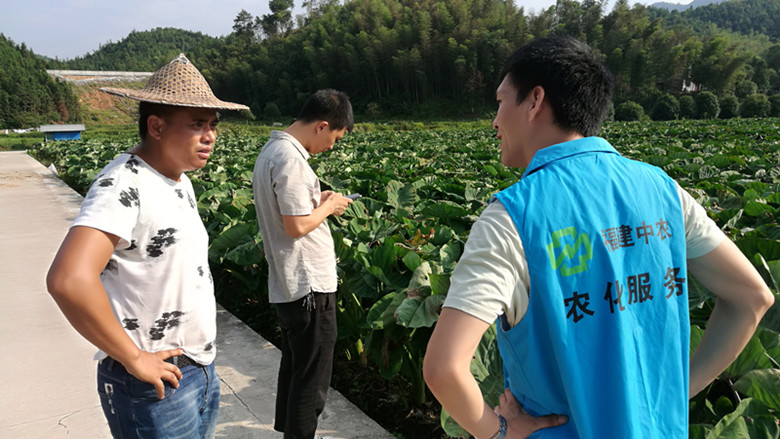 福建中農(nóng)