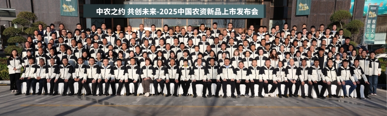 合影