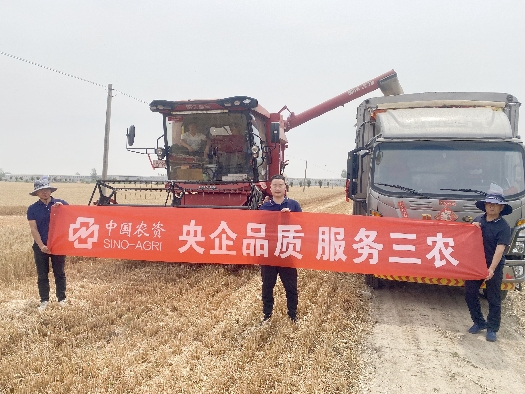 三夏大忙助豐收系列1：田間助農(nóng)，顆粒盡收